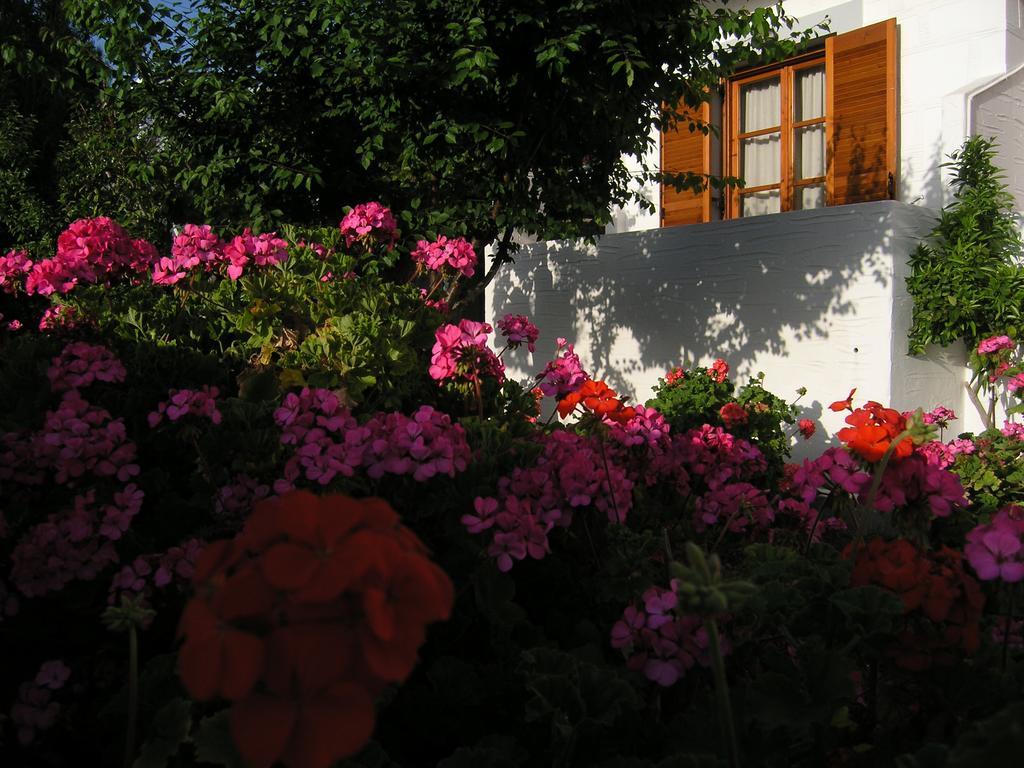 Pension Chanioti Páros Extérieur photo